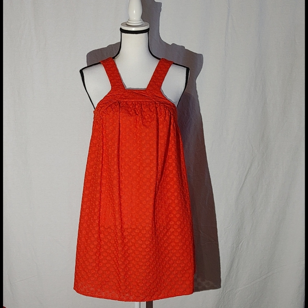 Topshop Embroidered Dress